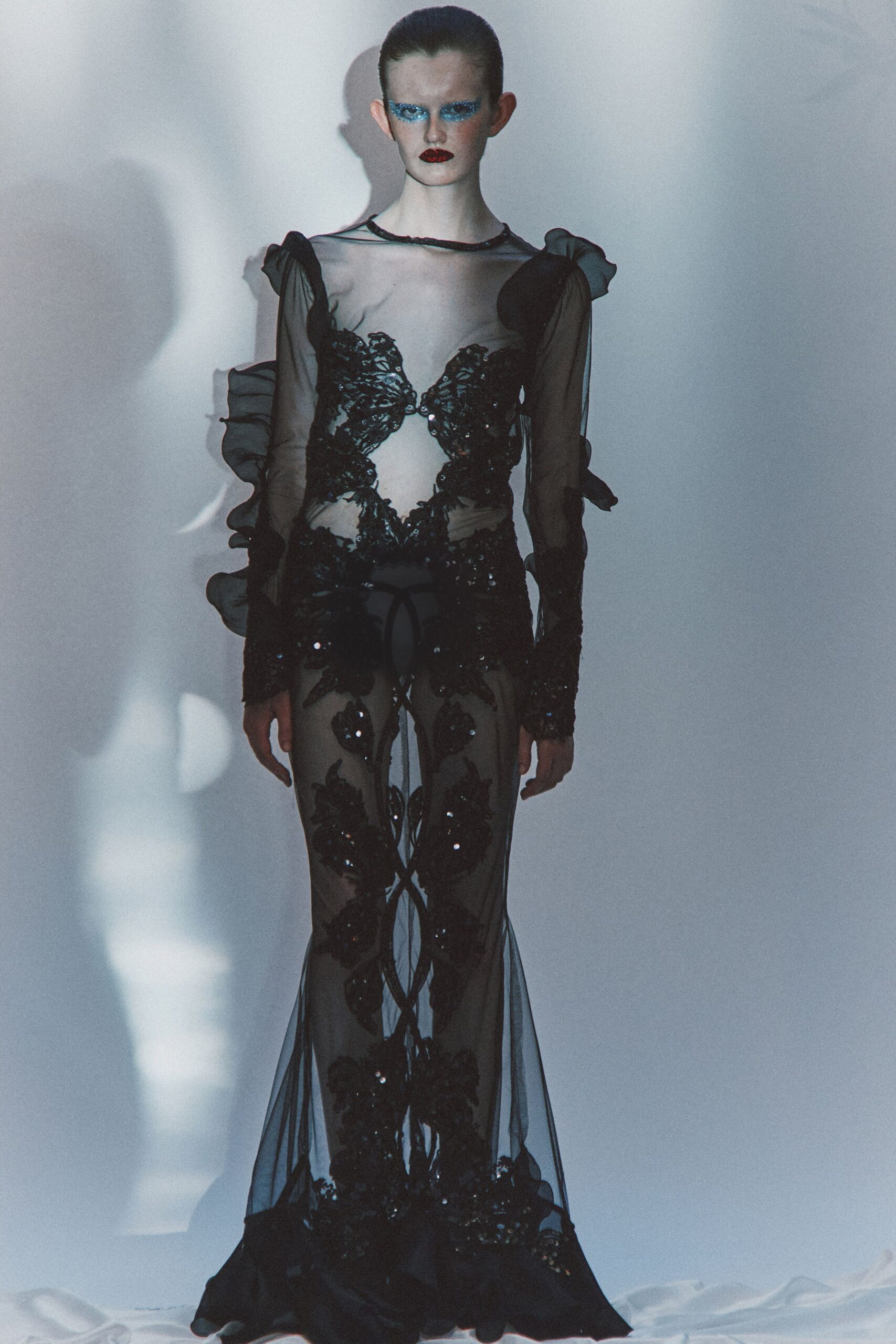 black sheer embellished gown