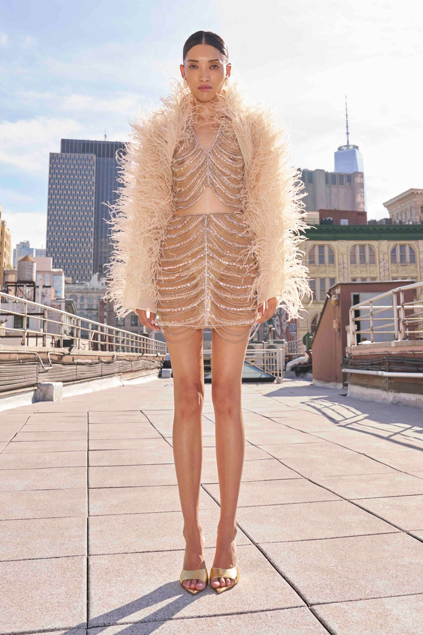 Blush ostrich-feather coat, froth rising past the jawline. Nude mesh bra top draped with crystal strands in scalloped arcs. Matching beaded mini, silver chains dipping below the hem. Gold leather mules. Rooftop noon, wind catching what last night's party didn't ruin.