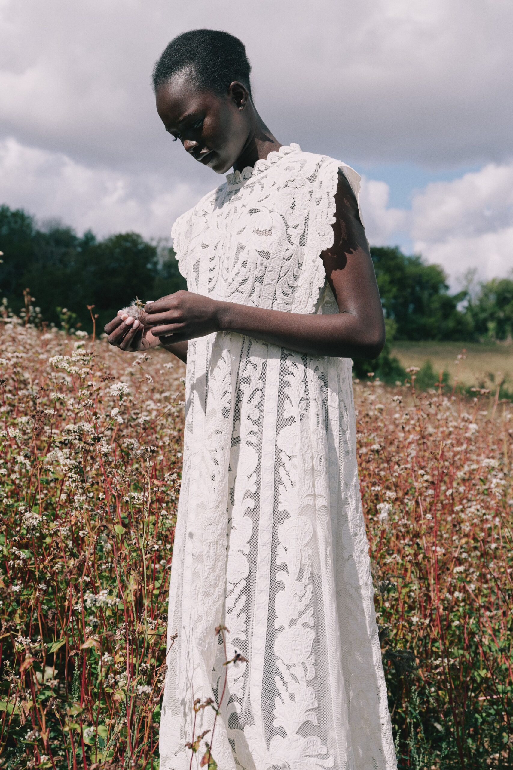 Ivory mesh dress overlaid with raised floral lace and a scalloped collar. Sheer organza cap sleeves, one edge lifting away from the shoulder. Tiny silver studs. Midday in a buckwheat field, pulling apart a seedhead before rain.
