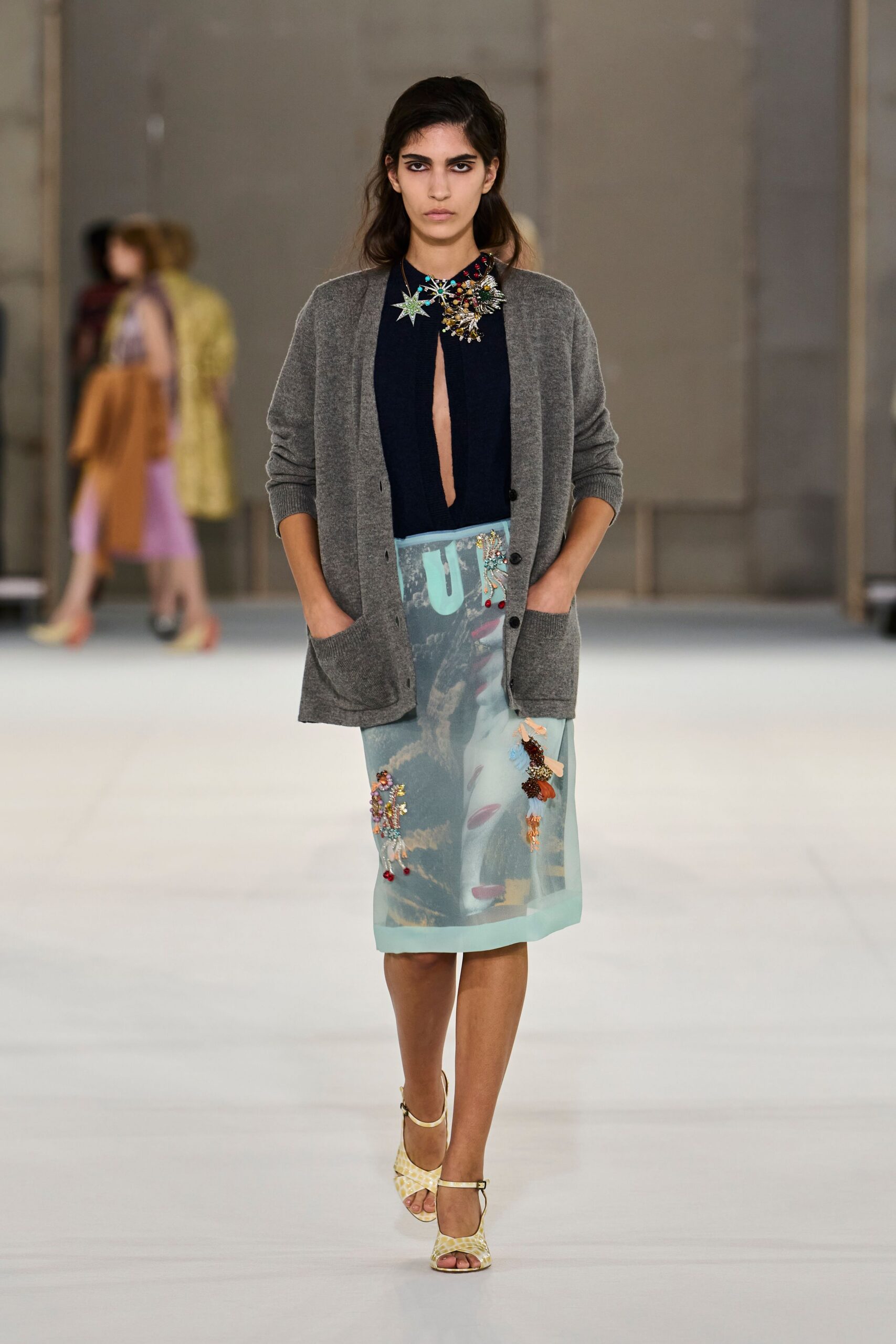 blue organza printed embellished sheer midi skirt