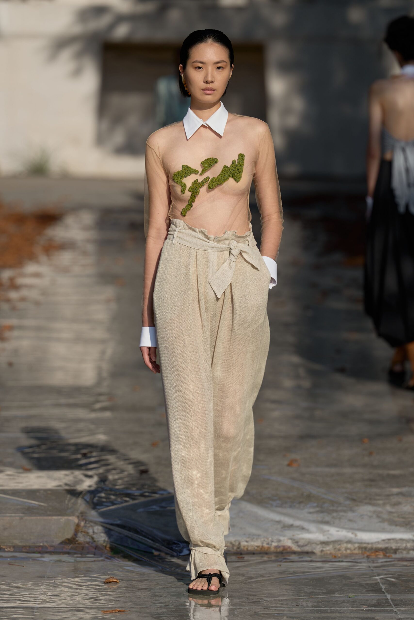 sheer illusion-collar mesh top