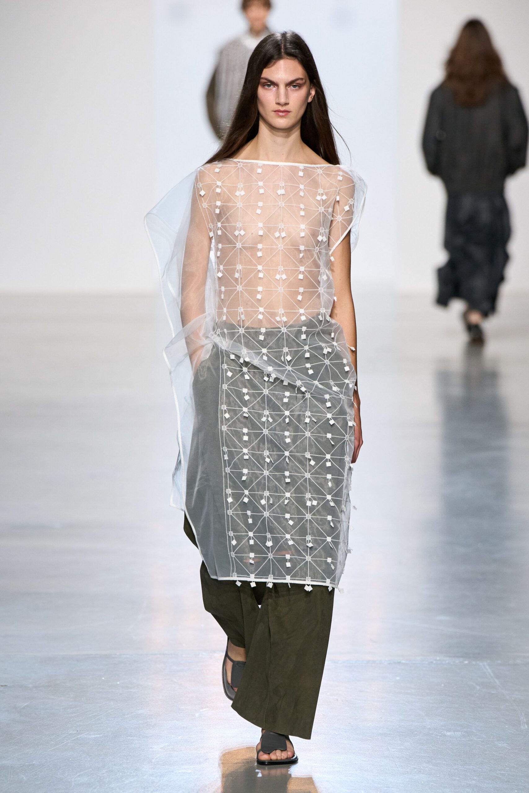 sheer embroidered organza overlay dress