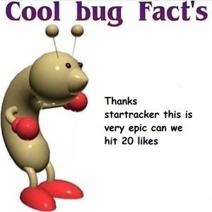 Bug Facts Thanks Star.jpg