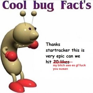 Bug Facts Thanks Star Alt.jpg