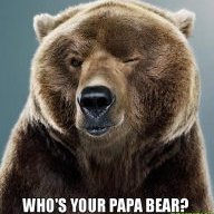 Comrade PaPa Bear