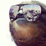 Dave The Sloth