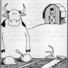 cow tools