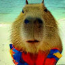 Capybara Maps
