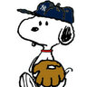 baseballdog