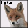 The santa fox