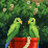 Treehero