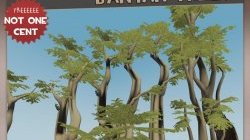 Banyan Jungle Trees