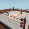 expiration date boxing ring