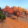 Oak Trees with Autumn Colours