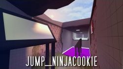 jump_ninjacookie