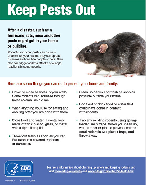 Preventing Rodent and Insect Infestations in Bins