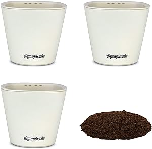 Window Garden Self Watering Planters - Pack of 3 Mini Pots for Small Indoor Plants - Aquaphoric Mini Planter - Perfect for Potting Herbs, African Violets, Succulents, Flower, or Grow Seedlings