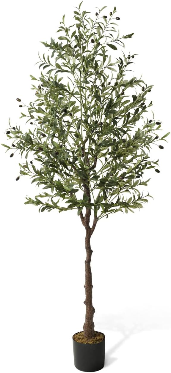 CAPHAUS 6 Feet, 72 Inch, Artificial Olive Tree, Faux Plant in Pot, Faux Olive Branch and Fruit, Fake Potted Topiary Tree with Dried Moss for Indoor Home Office Modern Housewarming Decoration Gift