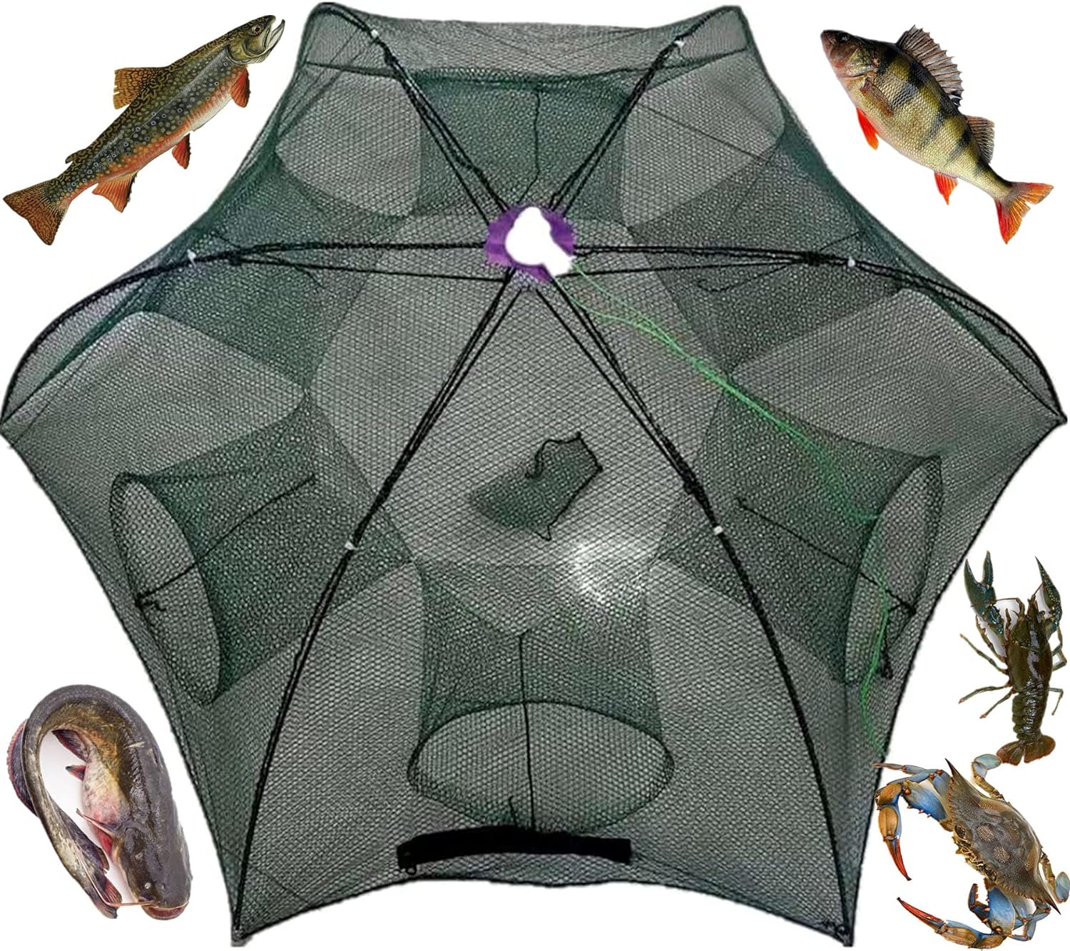 Automatic Foldable Umbrella Fishing Net Bait Trap Fish Trout Minnow Crayfish Shrimp Trap Shrimp Crab Catfish Traps with Anti-Corrosion and Anti-Rust Frame