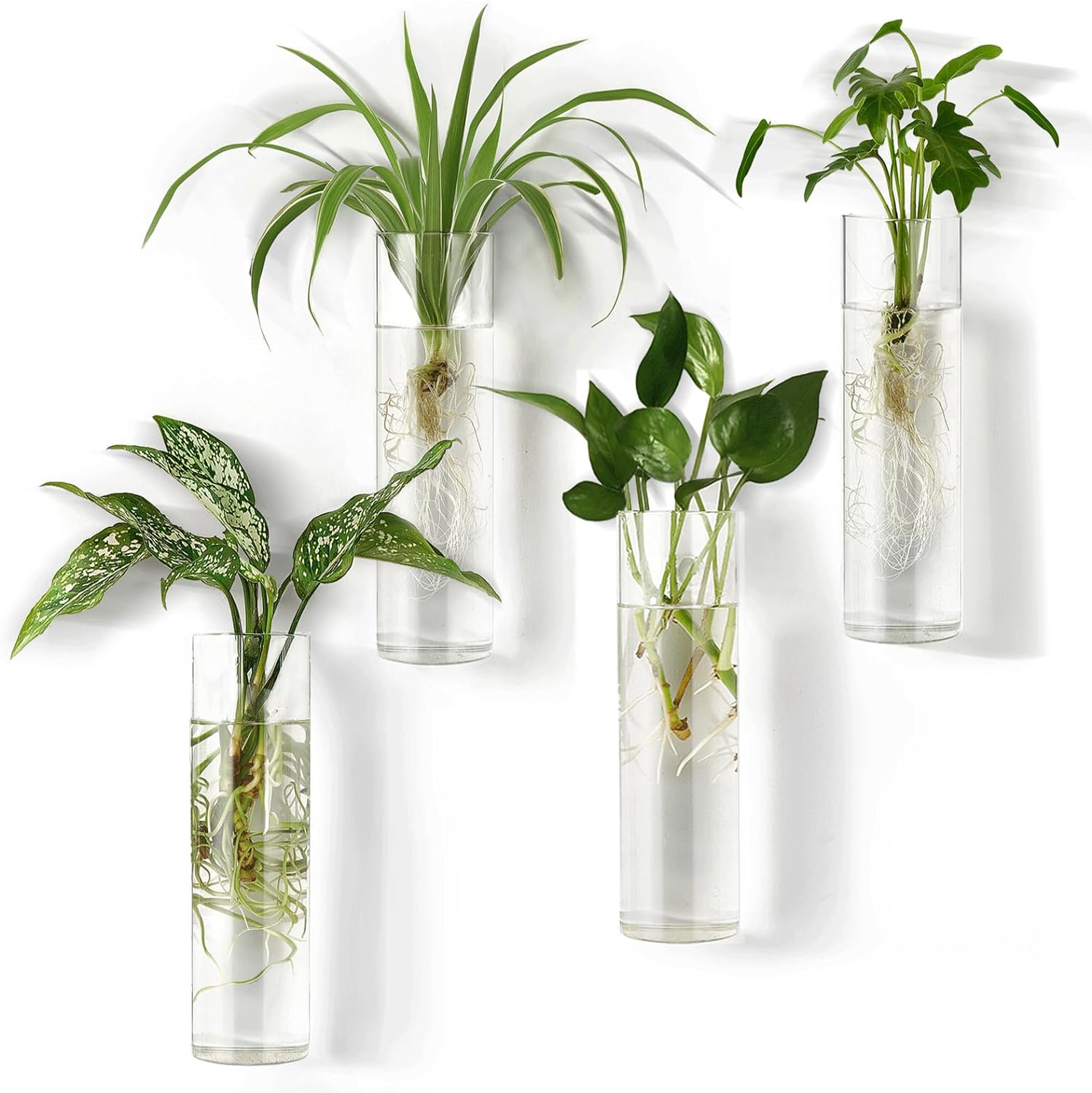 Mkono Propagation Station Wall Planter Hanging Glass Tubes Flower Vase for Hydroponics Plants, Bathroom, Home Office Living Room Decor Gift, Cylinder Set of 4