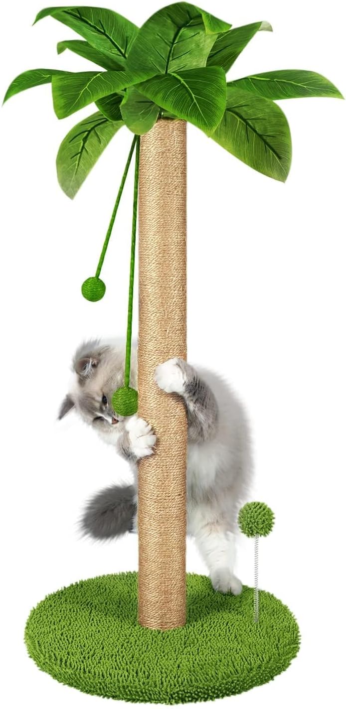 Cat Scratching Post, 31" Tall Scratch Tree with Premium Sisal Rope, Two Interactive Dangling Balls and Spring Ball Toys for Indoor Kittens and Cats