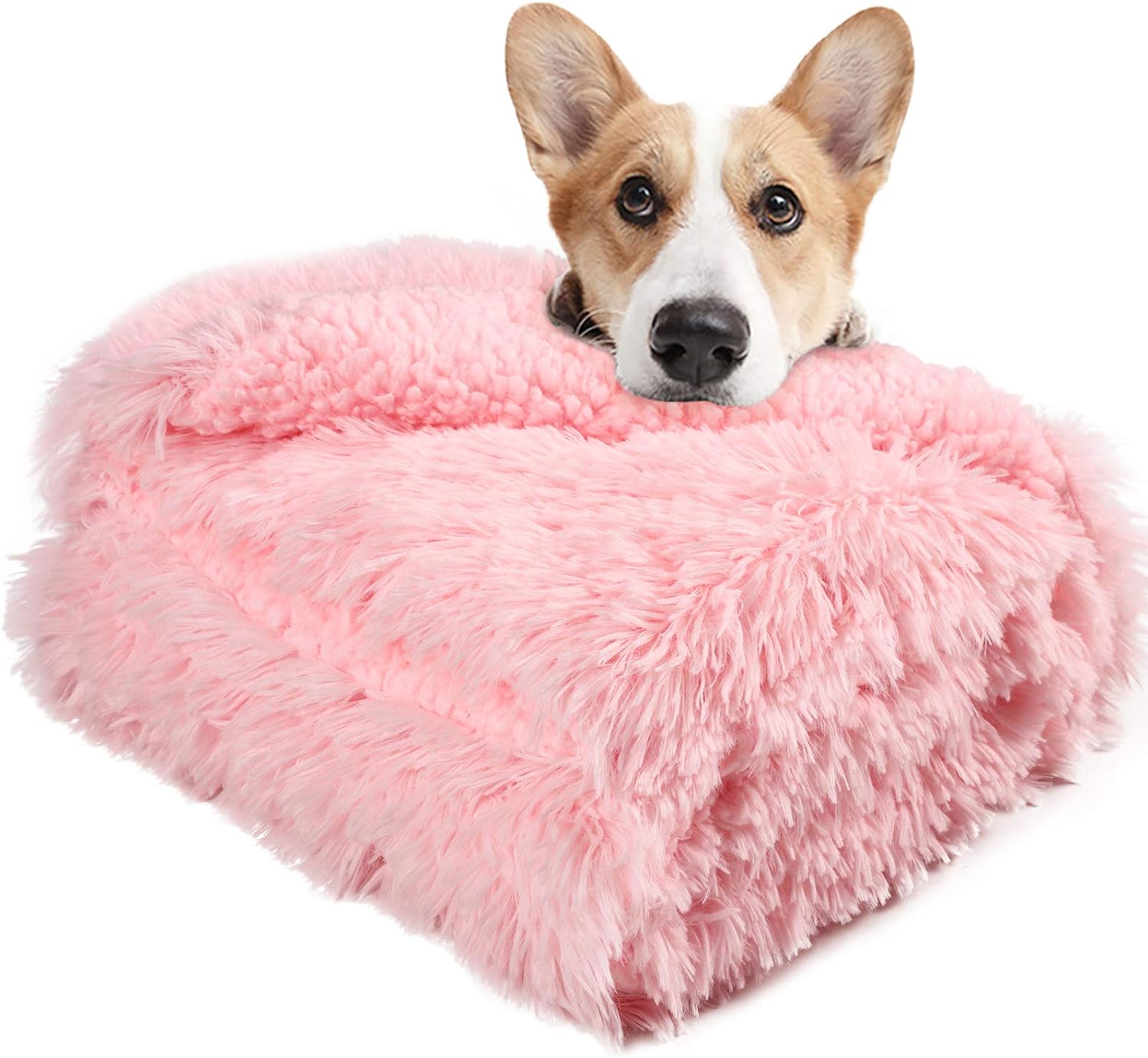 LOCHAS Luxury Fluffy Dog Blanket, Extra Soft and Warm Sherpa Fleece Pet Blankets for Dogs Cats, Plush Furry Faux Fur Puppy Throw Cover, 20''x30'' Pink