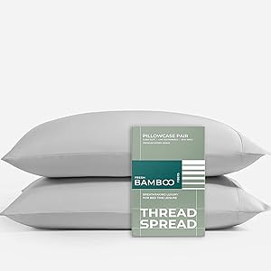 THREAD SPREAD Viscose from Bamboo Bed Pillowcases, 2Pc Pillowcase Pair for Standard/Queen Pillows, Extra Long Staple Cases, Soft & Cooling Luxury Cases, Light Grey Cases (Light Grey)