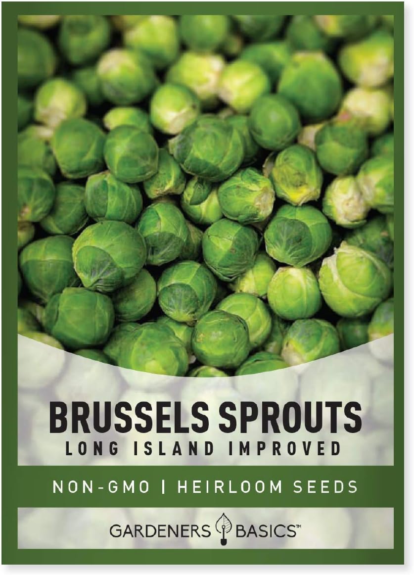 Gardeners Basics, Brussels Sprouts Seeds for Planting - Long Island Improved Heirloom, Non-GMO Vegetable Variety- 800 mg Approx 225 Seeds Great for Summer, Fall, and Winter Gardens