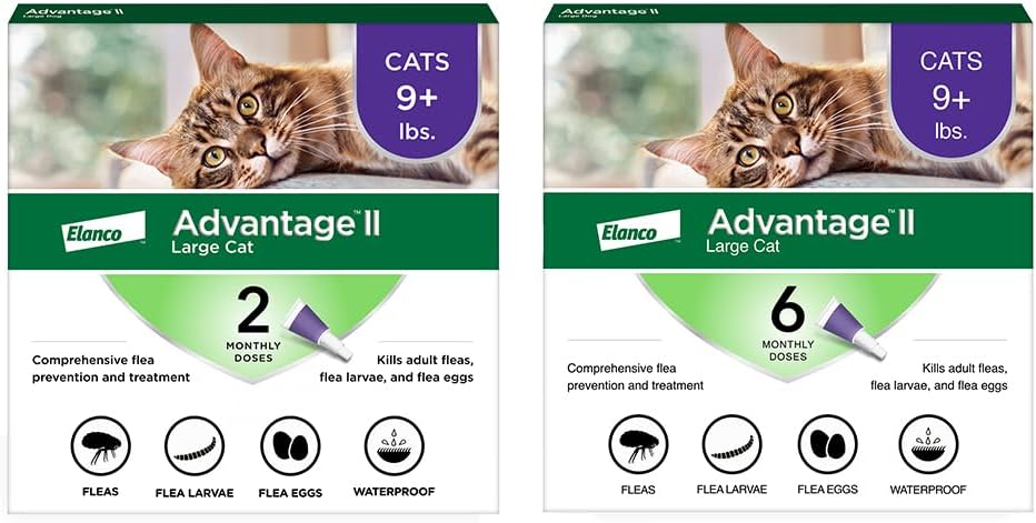 Advantage II Large Cat Vet-Recommended Flea Treatment & Prevention | Cats Over 9 lbs. | 8-Month Supply