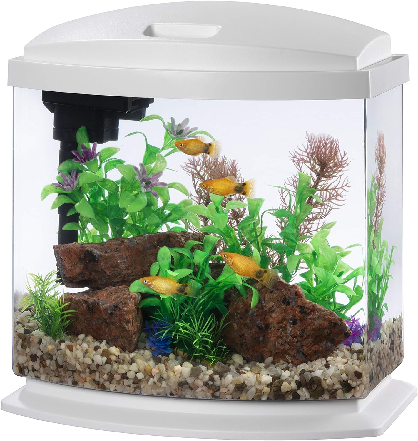 Aqueon LED MiniBow Aquarium Kit with SmartClean Technology, White, 2.5 Gallon