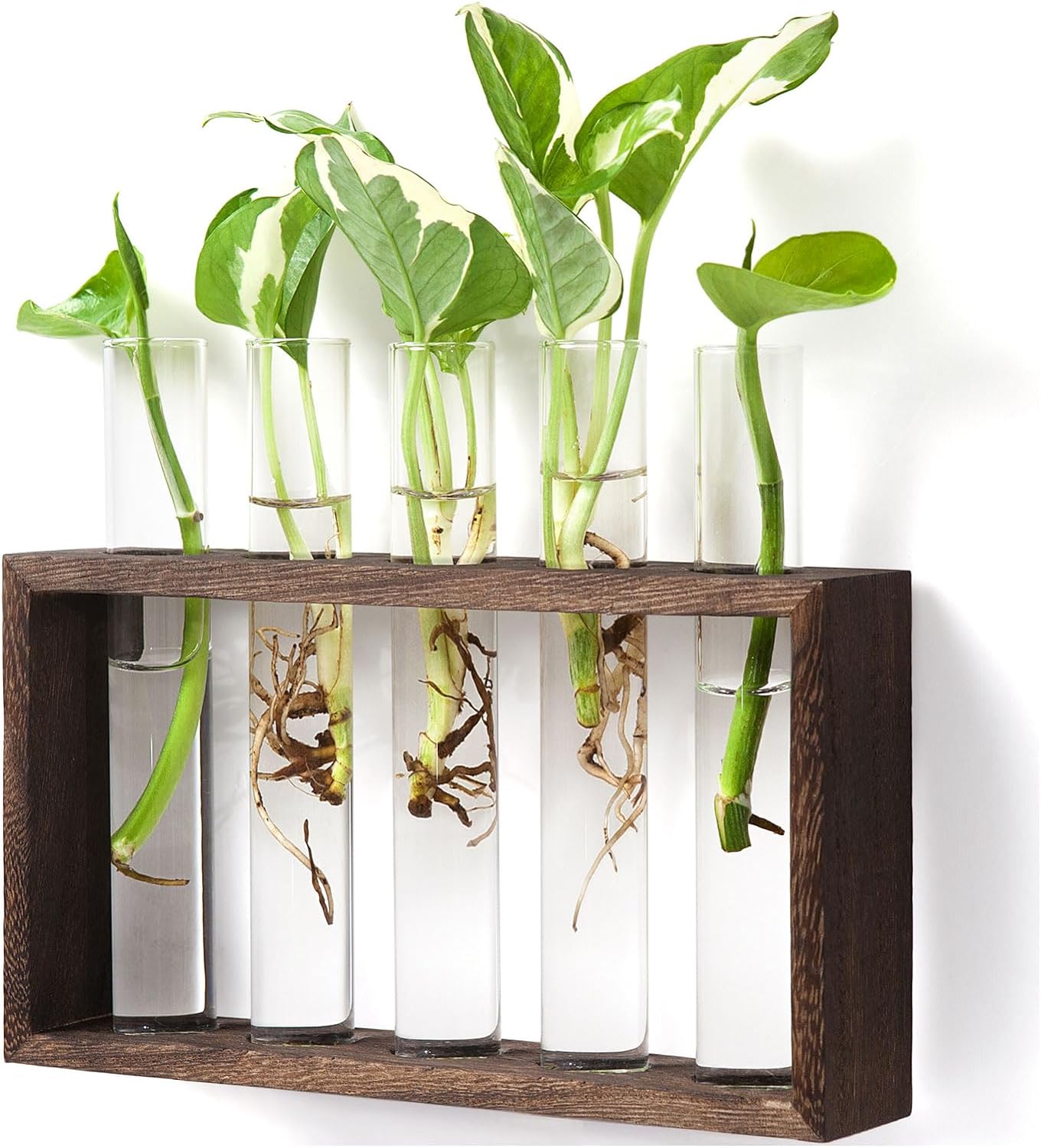 Mkono Wall Hanging Glass Planter Plant Terrarium Modern Flower Bud Vase in Wood Stand Rack Tabletop Terrarium for Propagating Hydroponic Plants, Home Office Decoration with 5 Test Tube, Medium, Brown