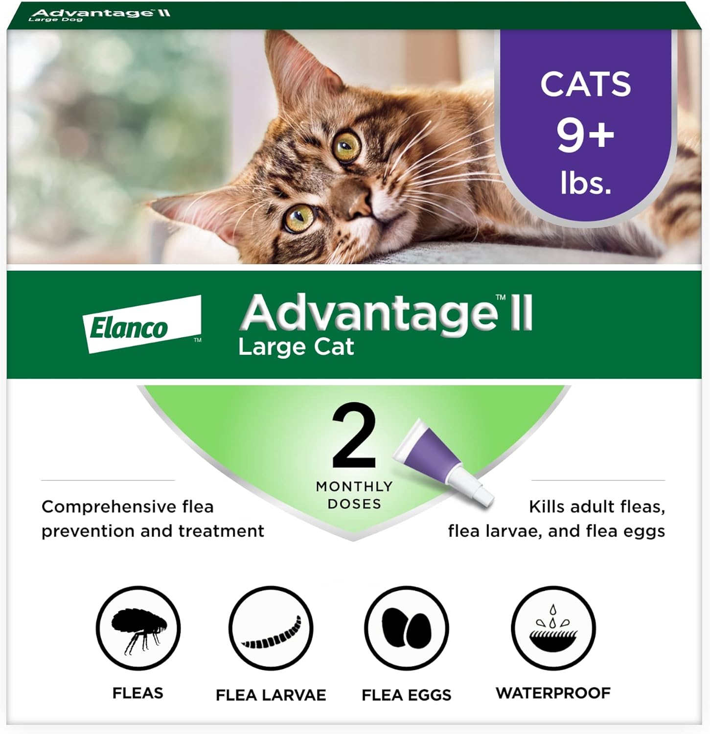 Advantage II Large Cat Vet-Recommended Flea Treatment & Prevention | Cats Over 9 lbs. | 2-Month Supply