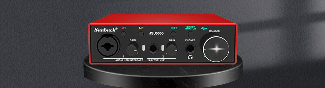 Sunbuck Mini USB Audio Interface, 24Bit/192kHz High-Fidelity for for Guitarist, Vocalist, Producer, with XLR/48V Phantom Power, 2x2 Audio Interface for Professional Recording, Podcasting, Streaming