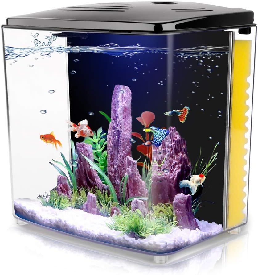 FREESEA 1.2 Gallon Betta Aquarium Starter Kits Square Fish Tank with LED Light and Filter Pump