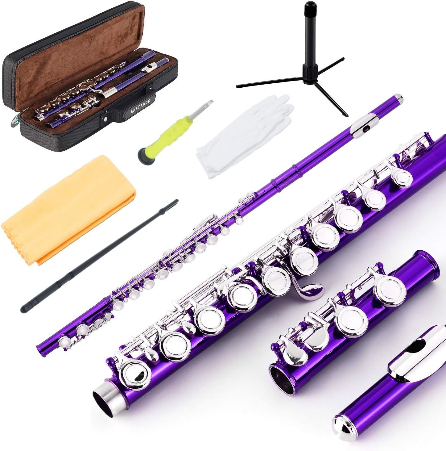 EASTROCK Closed Hole Flutes C 16 Key for Beginner, Kids, Student -Nickel Flute with Case Stand and Cleaning kit (Purple)