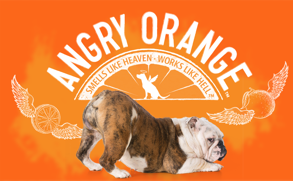 ANGRY ORANGE Pet Odor Eliminator for Strong Odor - Citrus Deodorizer for Dog Urine or Cat Pee Smells on Carpet, Furniture & Indoor Outdoor Floors - 128 Fluid Ounces - Puppy Supplies - 1 Gallon