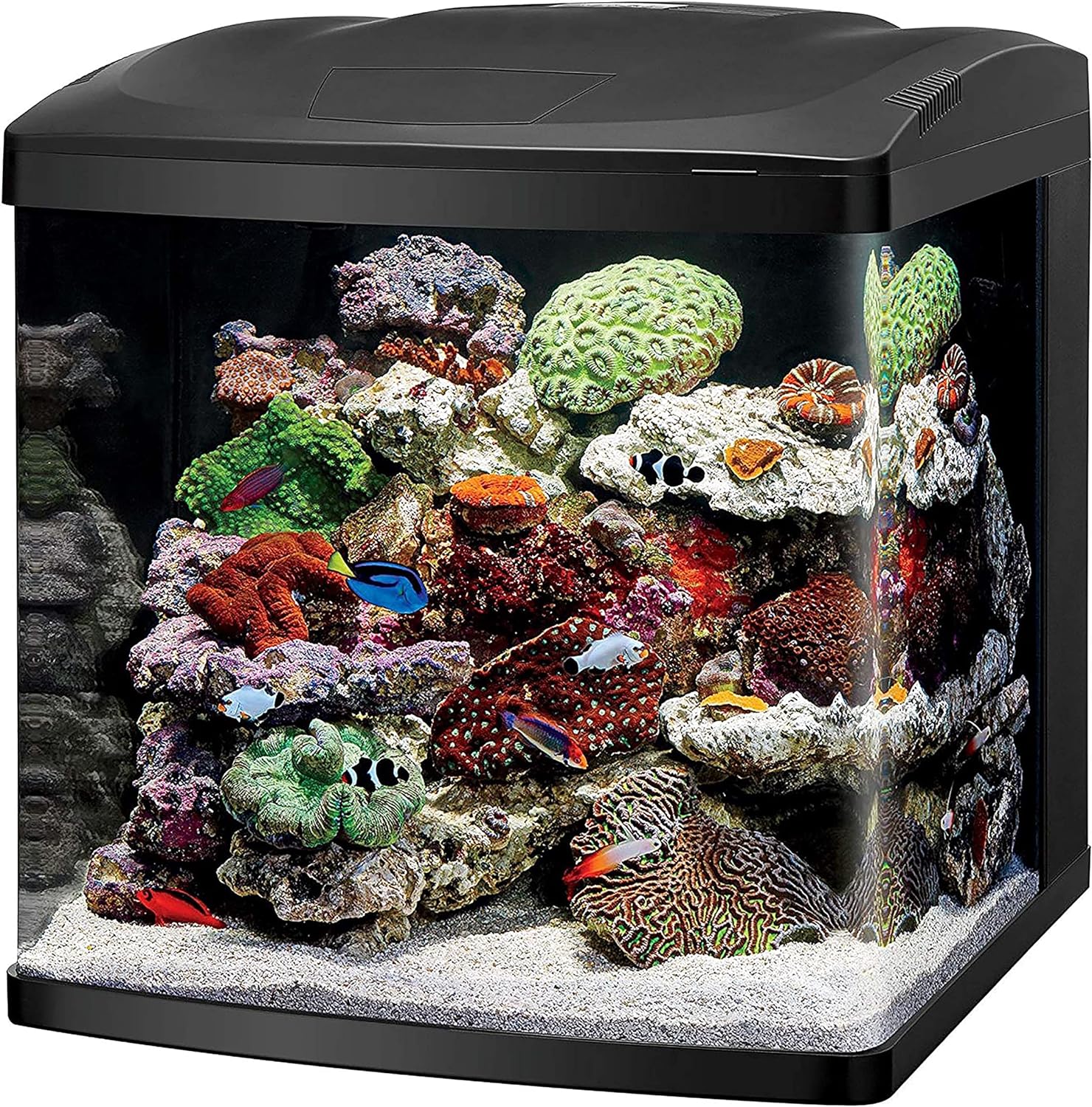 Coralife LED BioCube Aquarium Fish Tank Kit, 32 Gallon