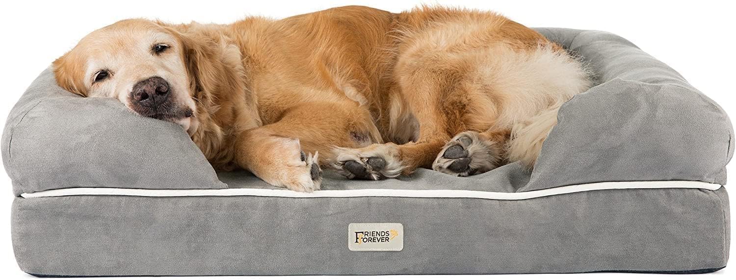 Friends Forever X-Large Dog Bed, Orthopedic Dog Sofa Memory Foam Mattress, Calming Dog Couch Bed, Wall Rim Pillow, Water Resistant Liner, Washable Cover, Non-Slip Bottom, Chester, X-Large Grey