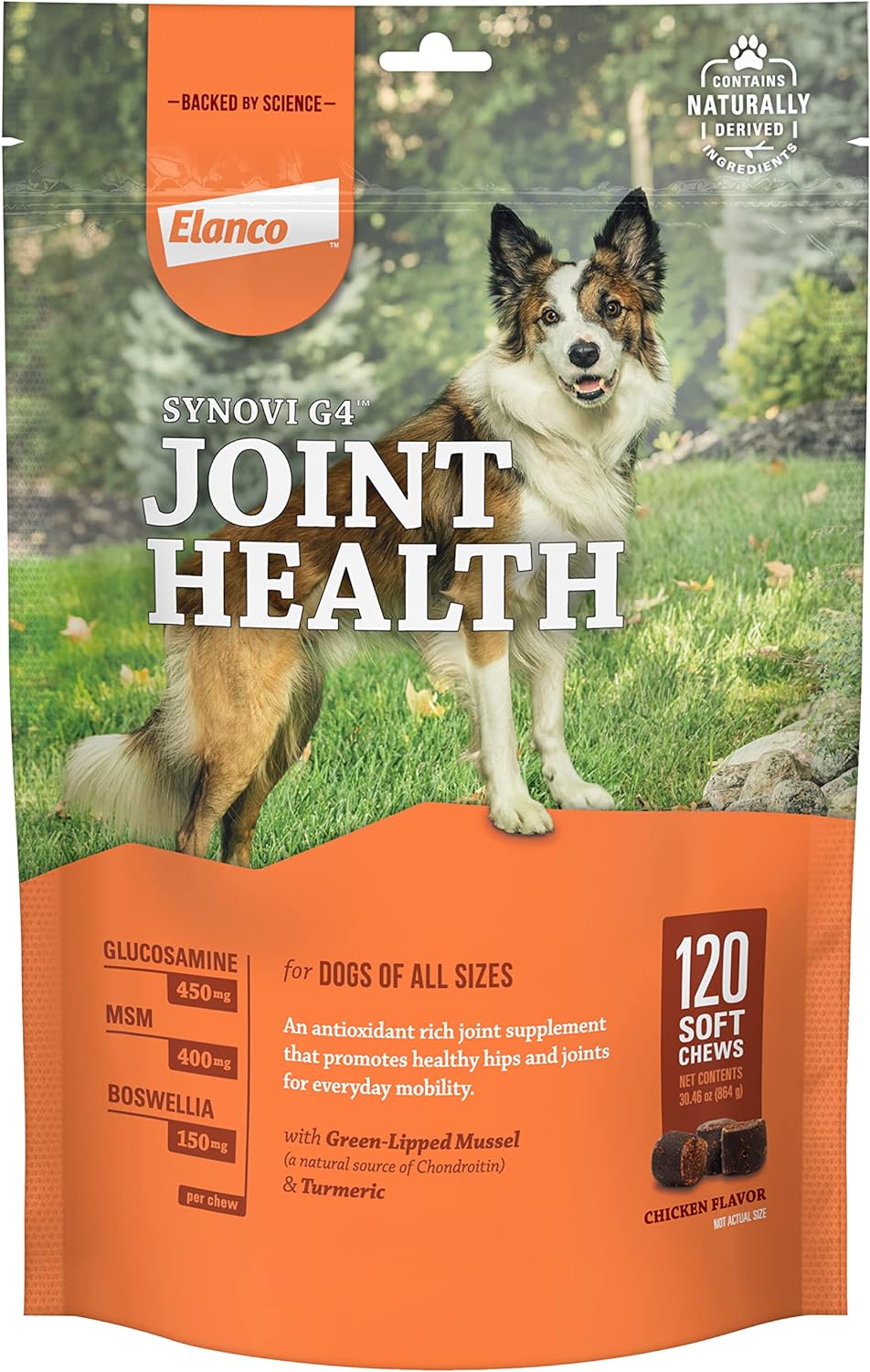 Synovi G4 Dog Joint Supplement Chews, 120-Count, for Dogs of All Ages, Sizes and Breeds