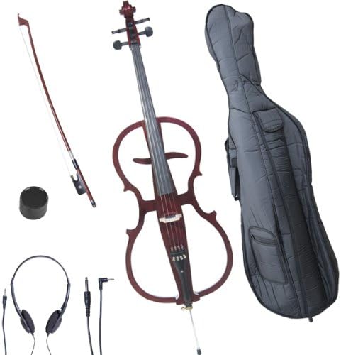 There are some pretty mixed reviews on here and the rest of the internet, but my experience with this has been pretty decent. Considering its price tag, I don't really believe you can go wrong even with taking a risk on a potentially bad-quality product. My local instrument shop prices their cellos at minimum around $1000, so I'll take my chances with the online option that's 1/3 of the cost; at least there's such thing as a return policy.That being said, I am pretty happy with my purchase, as e