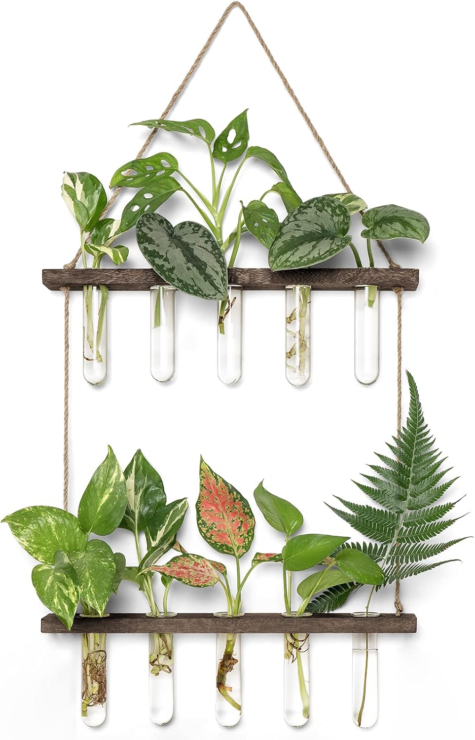 Mkono Plant Propagation Tubes, 2 Tiered Wall Hanging Plant Terrarium with Wooden Stand Vase Glass Planter Stations for Hydroponic Flower Cutting Home Garden Office Decor Plant Lover Gift