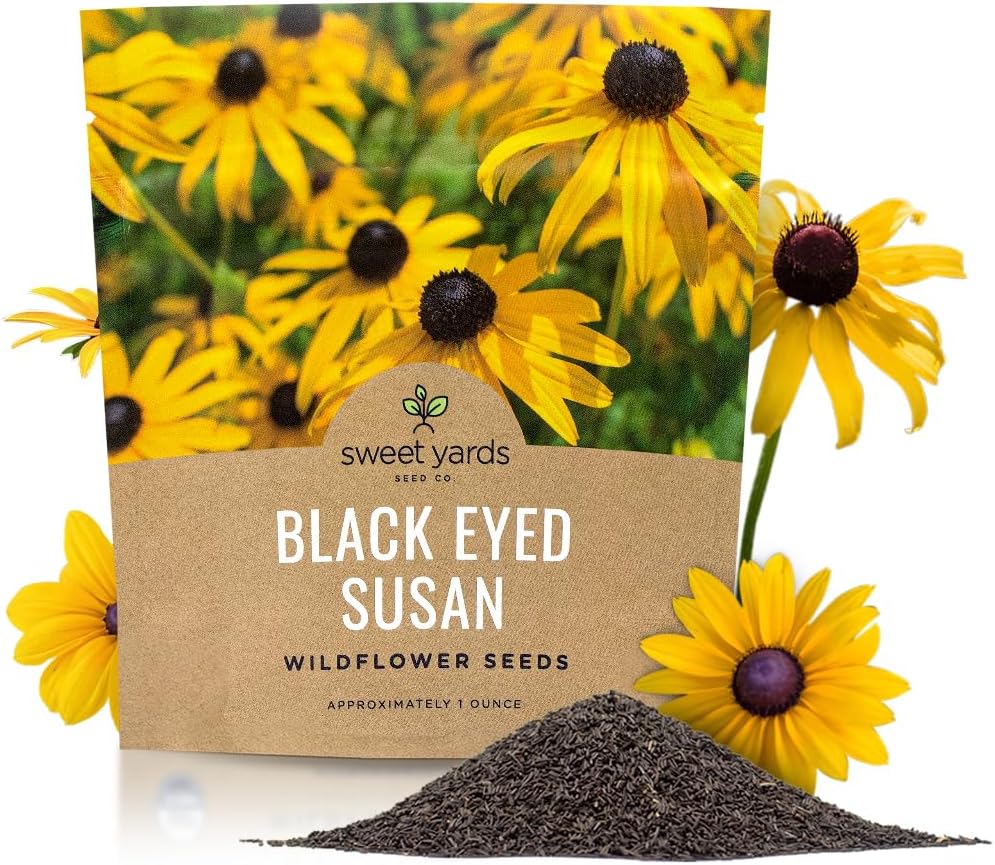 Black Eyed Susan Seeds  Extra Large Packet  Over 100,000 Open Pollinated Non-GMO Wildflower Seeds  Rudbeckia hirta