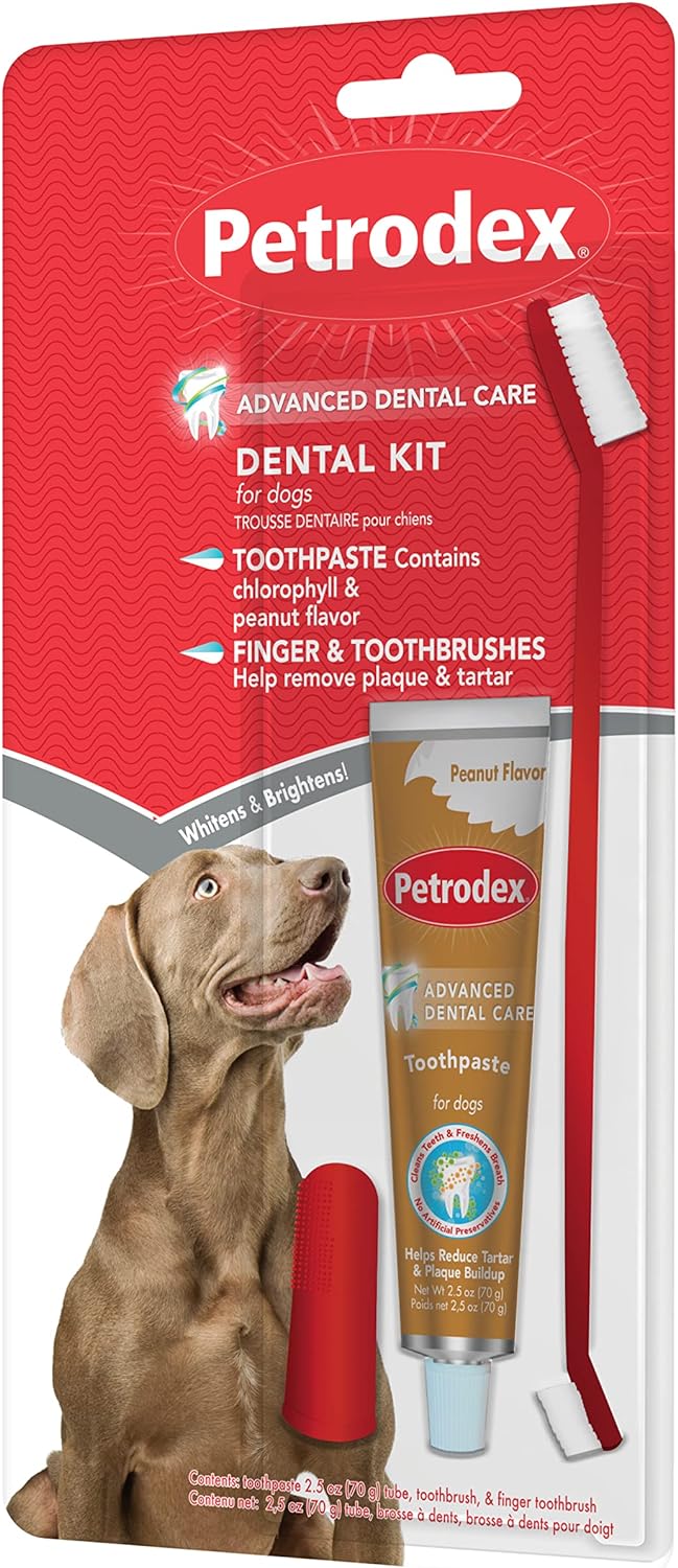 Petrodex Dental Care Kit for Dogs and Puppies, Cleans Teeth and Fights Bad Breath, Reduces Plaque and Tartar Formation, Enzymatic Tooth Brushing Kit, Peanut Flavor, 2.5oz Toothpaste + Toothbrush