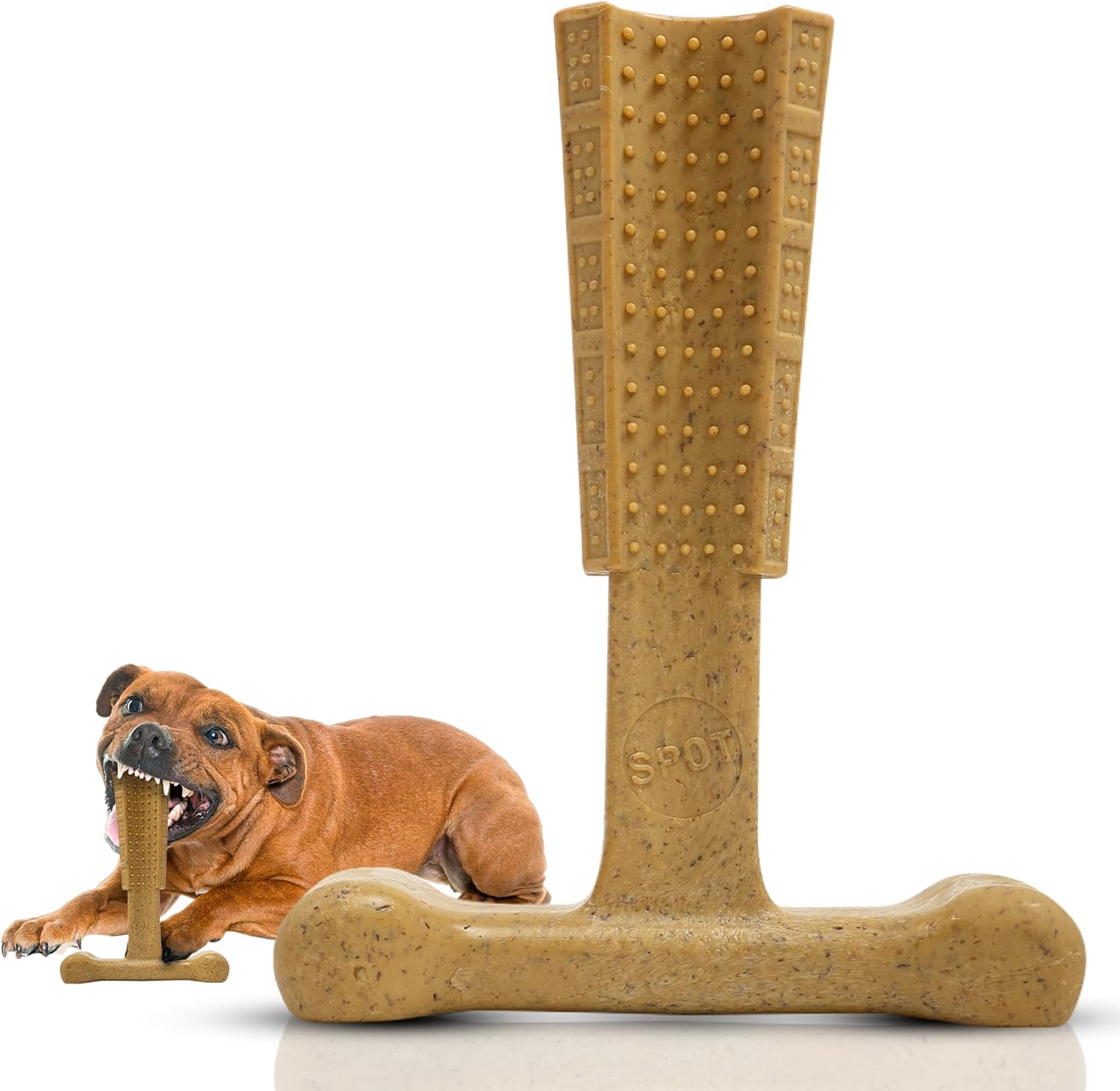 SPOT Bam-Bones Plus T Bone - Bamboo Fiber & Nylon, Durable Long Lasting Dog Chew for Aggressive Chewers  Great Toy for Adult Dogs & Teething Puppies Under 90lbs, Non-Splintering, 7in Chicken Flavor