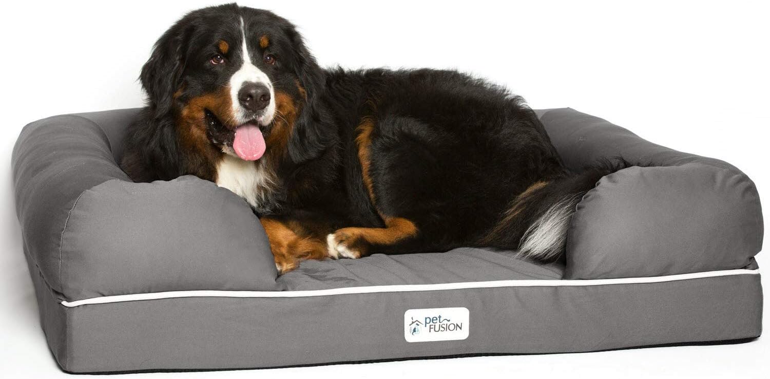 PetFusion Ultimate Dog Bed, Orthopedic Memory Foam, Multiple Sizes and Colors, Medium Firmness Pillow, Waterproof Liner, YKK Zippers, Breathable 35% Cotton Cover