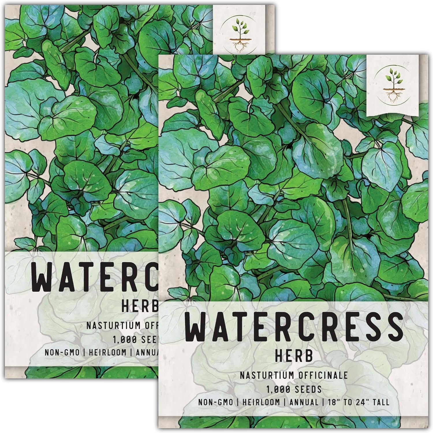 Seed Needs, True Watercress Seeds - 500 Heirloom Seeds for Planting Nasturtium officinale - Microgreens Herb for an Indoor/Outdoor Garden Non-GMO & Untreated (2 Packs)