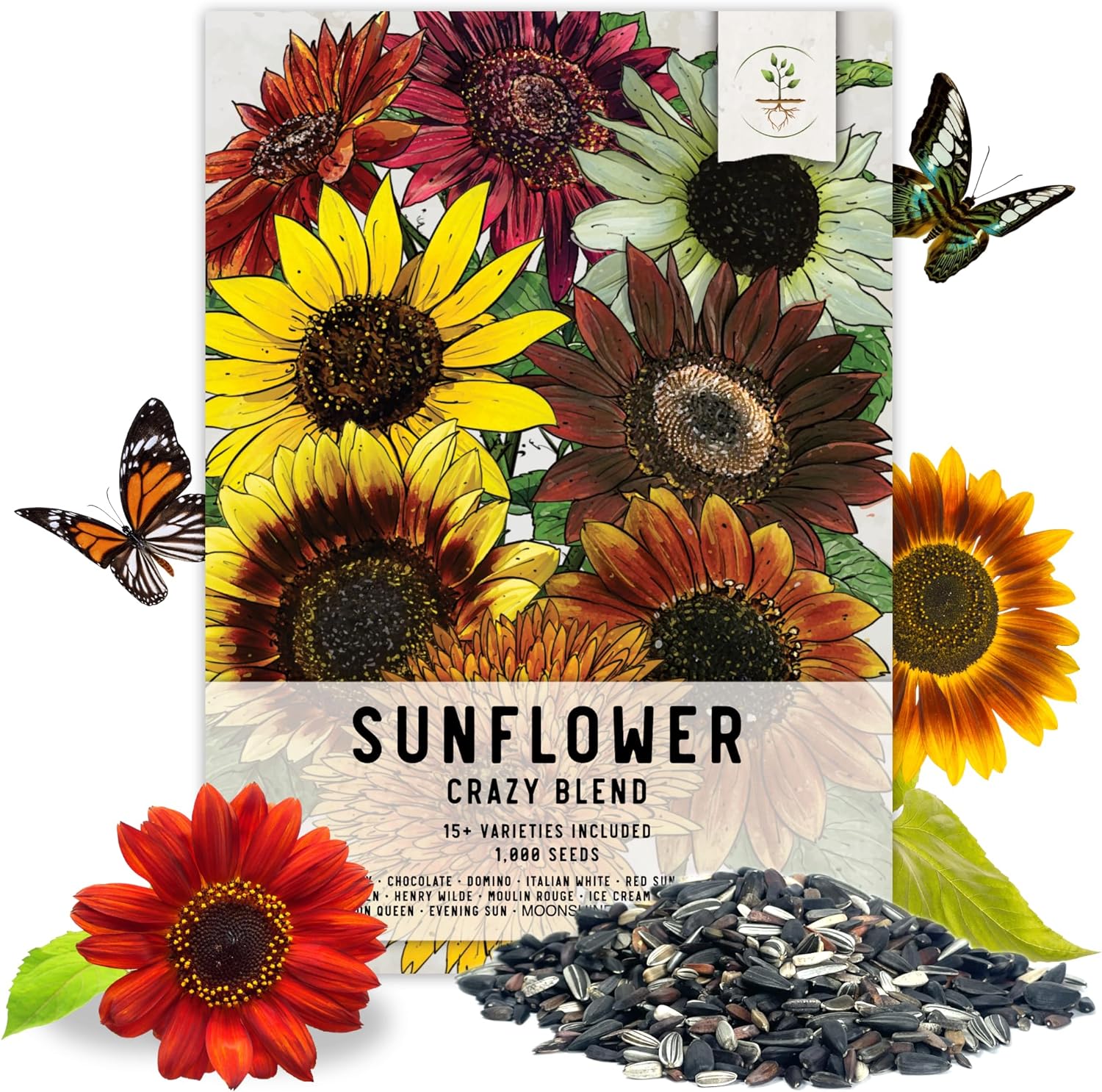 Seed Needs, Specialty Blend of 1,000  Sunflower Seeds for Planting (15  Varieties, Crazy Mixture) Heirloom, Open Pollinated & Untreated - Attracts Butterflies & Bees Bulk