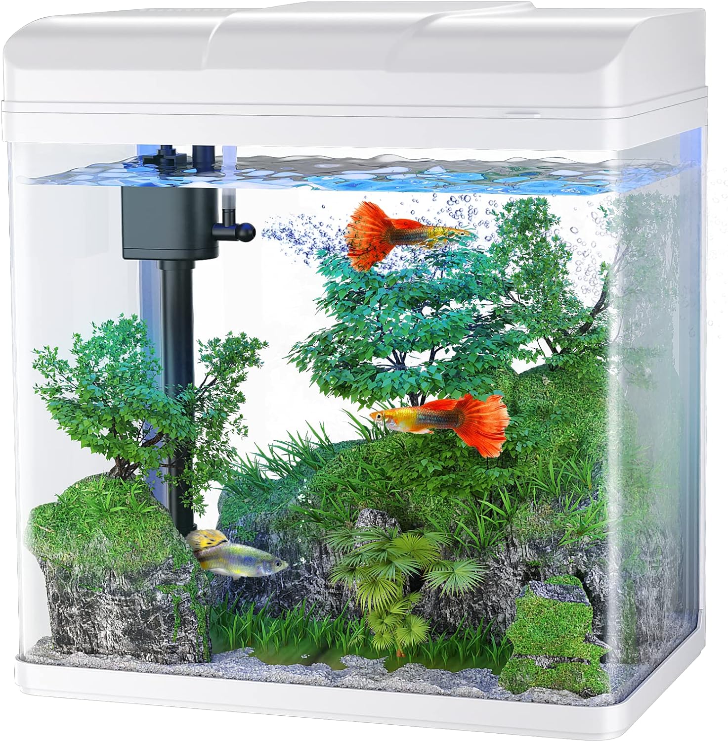 Fish Tank, 1.7 Gallon Glass Aquarium with Air Pump & LED Light & Filter, Small Fish Tank for Betta Fish Starter Kit (White)