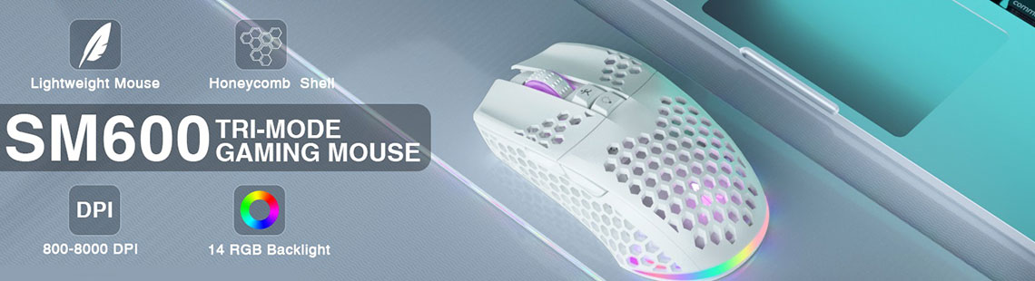 SM600 White Wireless Gaming Mouse,8000 DPI Tri-Modes Bluetooth/Type-C Wired/2.4G Wireless Mouse with 2 Side Buttons, Programmable Macro Gamer Mouse with RGB Light for Laptop/PC/Mac