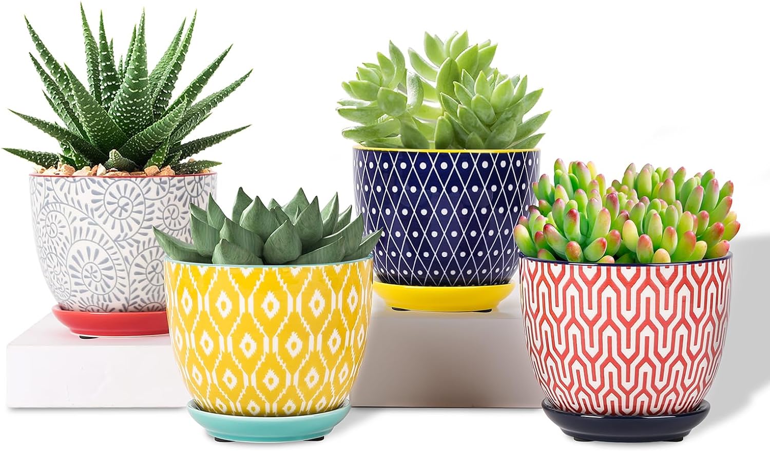 Selamica Ceramic Plant Pots, 4.6 Inch Flower Pots for Indoor Plants, Succulent Pots with Drainage Hole & Saucer, Succulent Planters for Succulent Cactus, Home Decor, Set of 4, Assorted Colors